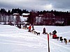 P002936.jpg