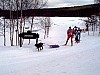 P002939.jpg