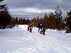 P002942.jpg