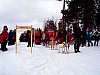 P002954.jpg