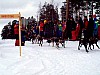 P002955.jpg