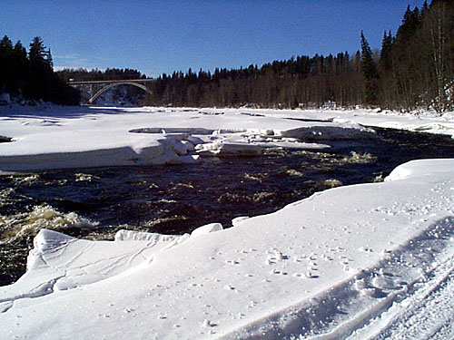 P001199.jpg
