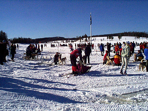 P001205.jpg