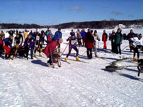 P001221.jpg