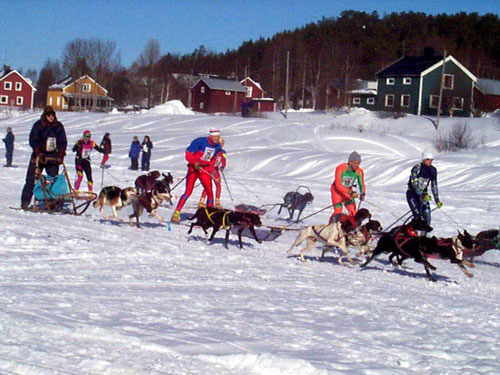 P002998.jpg