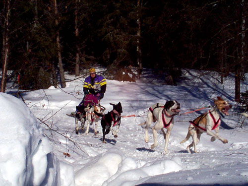 P003003.jpg