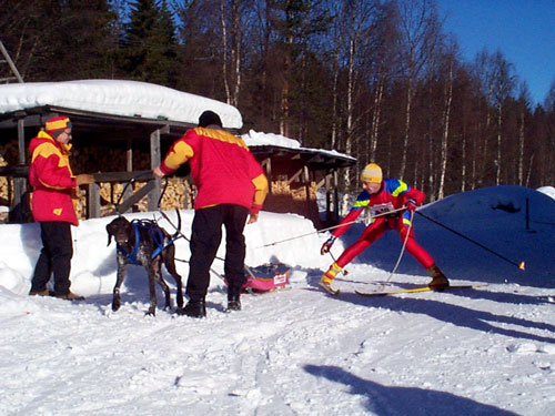 P003006.jpg