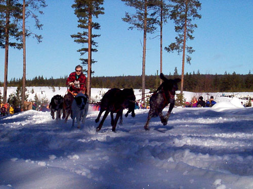 P003013.jpg