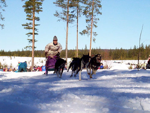 P003017.jpg