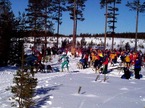 P003018.jpg