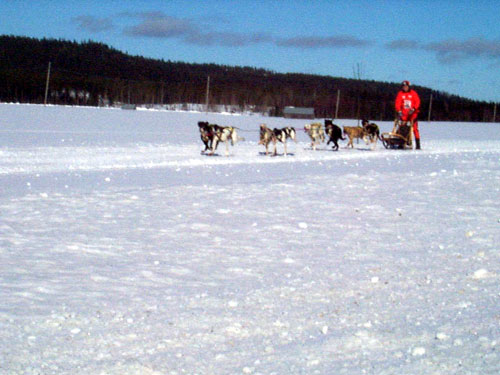 P003020.jpg