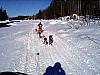 P001196.jpg