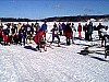 P001221.jpg