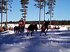 P003013.jpg