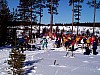 P003018.jpg