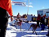 P003022.jpg